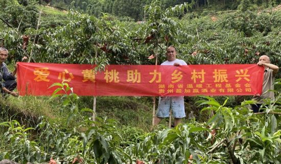 爱心企业参与助农行动。 湖南省温暖工程基金会供图