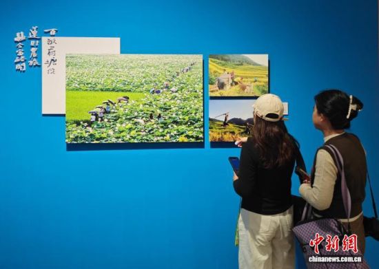 民众正在观看《东安印象》摄影大展。中新网记者唐小晴 摄 民众正在观看《东安印象》摄影大展。中新网记者唐小晴 摄