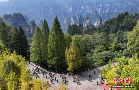 10月23日,游人在湖南张家界国家森林公园天子山景区游览。吴勇兵 摄 10月23日,游人在湖南张家界国家森林公园天子山景区游览。吴勇兵 摄