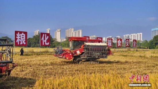 收割机在作业。余涛 摄 收割机在作业。余涛 摄