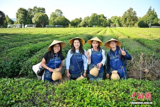 2025ýǳ֮̽òɷһڳɳؽɲȤ  