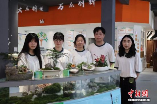 青创花屿团队设计制作苔藓微景观产品。陈浩摄 青创花屿团队设计制作苔藓微景观产品。陈浩摄