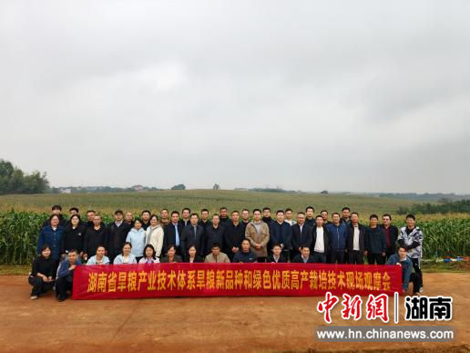 Ϻȫ̻еɫЧʾֳĦˮ̲С췽ͼ