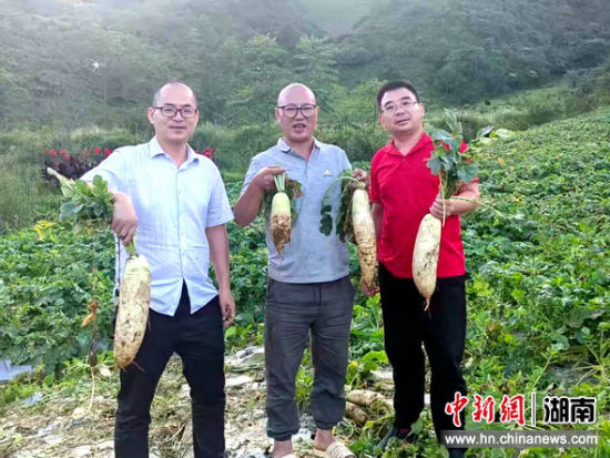 ����ʡ�ɿƼ�����Ա��־Զָ����ֲ����ֳ������