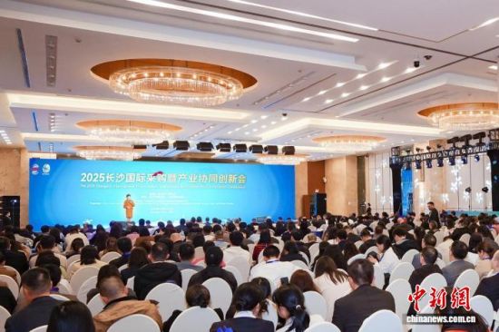 会议现场。活动组委会供图 会议现场。活动组委会供图