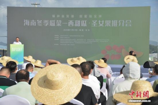 11月17日,海南冬季瓜菜——西甜瓜·圣女果推介会在乐东黎族自治县举行。张月和 摄 11月17日,海南冬季瓜菜——西甜瓜·圣女果推介会在乐东黎族自治县举行。张月和 摄
