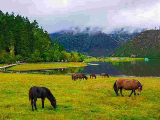 �մ����ҹ�԰ ͼƬ��������