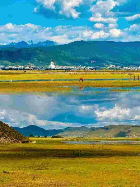 ������Ҫʪ�ء��������� ͼƬ��������