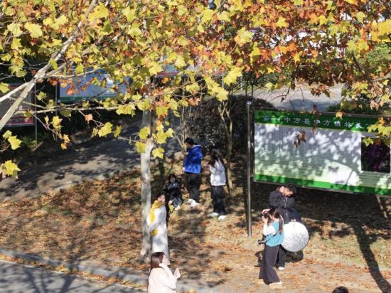 ���������´����ա�