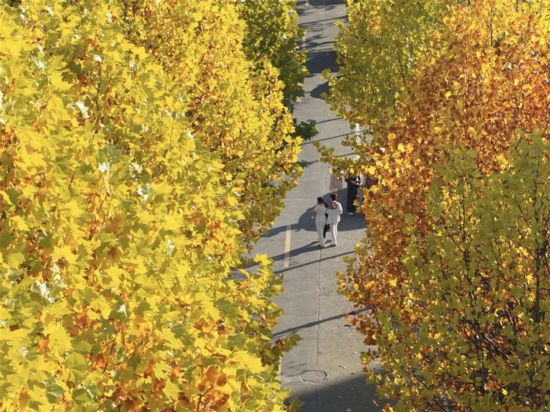 ��ͩ������ġ�