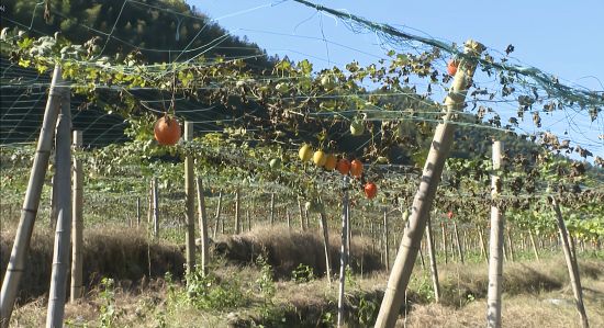 ���俪ʼ���졣 ����� ��