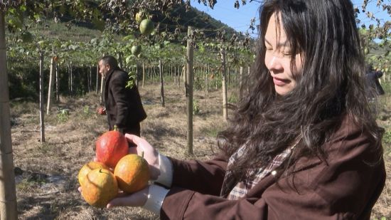 ��������ֳ��� ����� ��