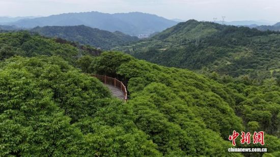 »ζزĺɽƺԭֻء»ý ͼ