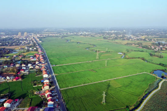今年9月,常德市鼎城区谢家铺镇港中坪村的晚稻犹如一片绿色海洋。 湖南日报全媒体记者 鲁融冰 摄 今年9月,常德市鼎城区谢家铺镇港中坪村的晚稻犹如一片绿色海洋。 湖南日报全媒体记者 鲁融冰 摄