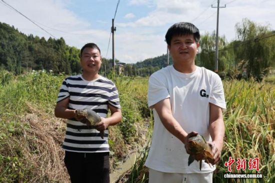 游客在蒋坊乡体验捕捞稻花鱼的乐趣。刘平甫 摄 游客在蒋坊乡体验捕捞稻花鱼的乐趣。刘平甫 摄