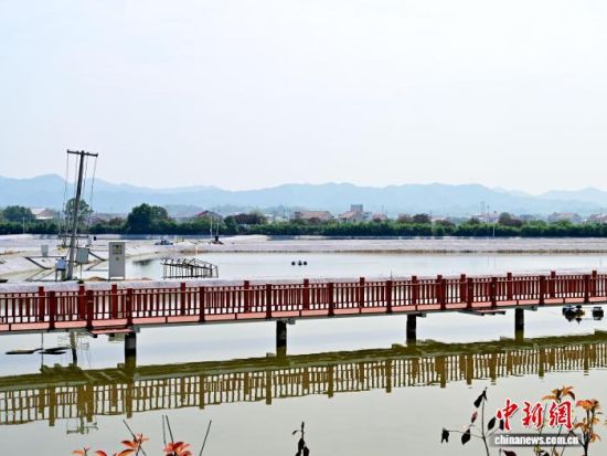 湖南桃江完成标准化改造和尾水治理的池塘水域连片。 刘美玲 摄 湖南桃江完成标准化改造和尾水治理的池塘水域连片。 刘美玲 摄