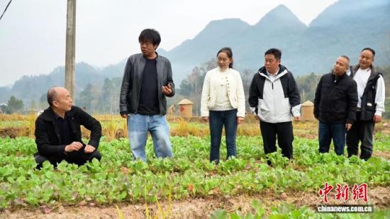 近日,张家界市、桑植县自然资源局人员在田间向大户了解油菜生长情况。李鸿晖 摄 近日,张家界市、桑植县自然资源局人员在田间向大户了解油菜生长情况。李鸿晖 摄