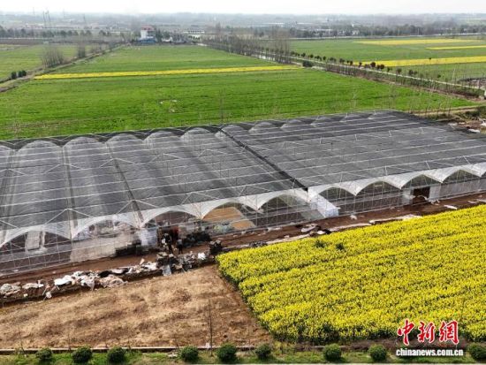 位于湖南益阳大通湖区的智慧育秧大棚。 徐钢 摄 位于湖南益阳大通湖区的智慧育秧大棚。 徐钢 摄