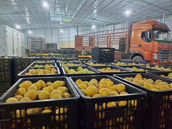 ǧ�����������޺����ּ�װ���׼���������������� ��