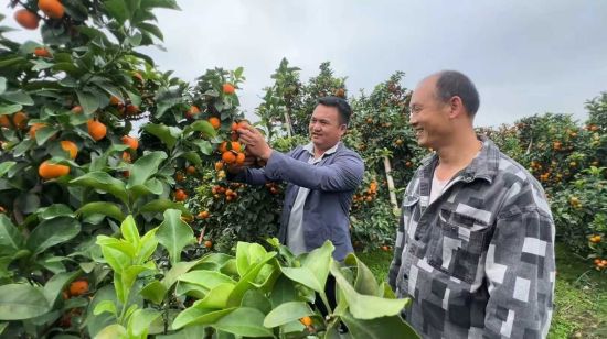 �Ҵ����ؿڴ�500��Ķ����ɰ����ϲ��ḻ������ ��