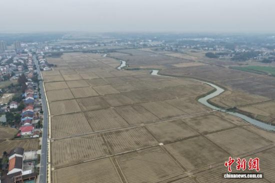 12��5�գ�λ�ں��ϳ��¶�����л������ĸ߱�׼ũ������������ ��־�� ��