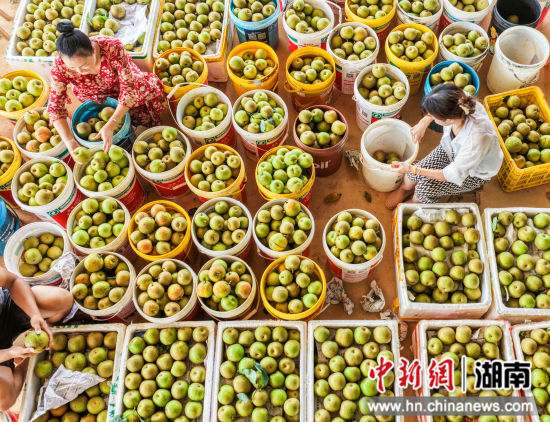 ������ɫˮ�����ա�������ί��������ͼ