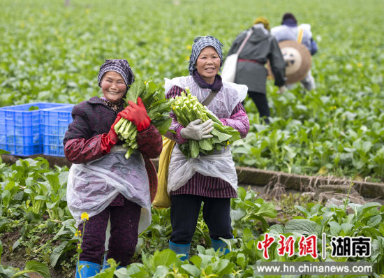 ������չ���۰��߲˻��ء�������ί��������ͼ