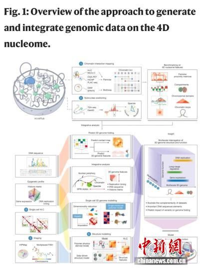 �����о����ʾ��ͼ(ͼƬ��������)��ʩ���ָ���Ȼ ��ͼ