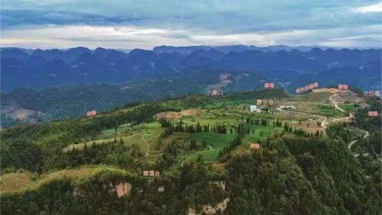 ��կƺ��կ��ַ��������������կ(��)��