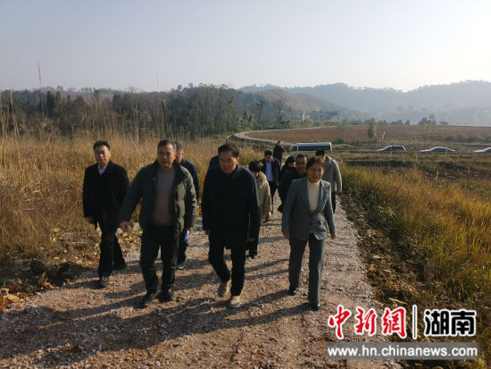 考察定点帮扶东山村辣椒产业基地建设 考察定点帮扶东山村辣椒产业基地建设