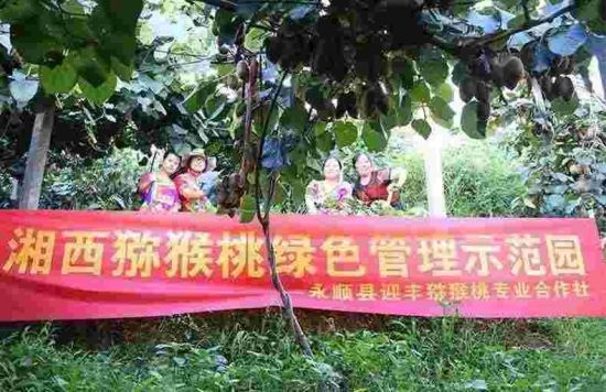 ����⨺���԰ ͼƬ��������