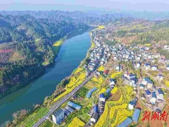 泸溪大陂流油菜花基地 图片来自网络 泸溪大陂流油菜花基地 图片来自网络