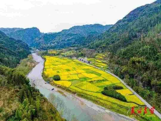 吉首大兴油菜花风光 图片来自网络 吉首大兴油菜花风光 图片来自网络