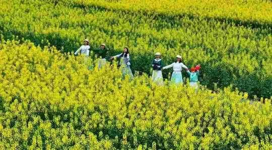 游客打卡古丈中寨 图片来自网络 游客打卡古丈中寨 图片来自网络