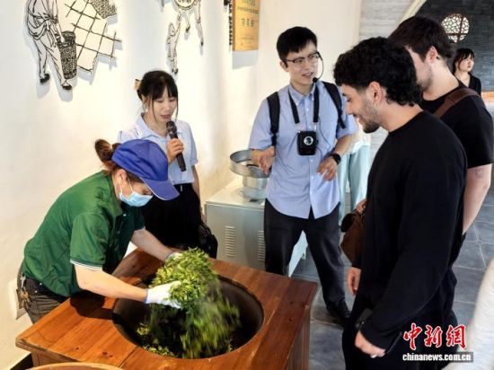 在云游茶业产学研基地,德国青年了解院士专家助力乡村产业发展。 付敬懿 摄 在云游茶业产学研基地,德国青年了解院士专家助力乡村产业发展。 付敬懿 摄