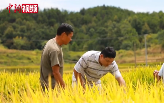 为什么要建设中国篮球名人堂？答案都在这里了