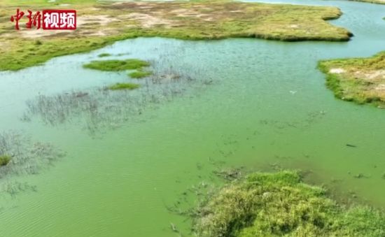 第三届湖湘文化美食节在港举办 融通“湘港”情谊