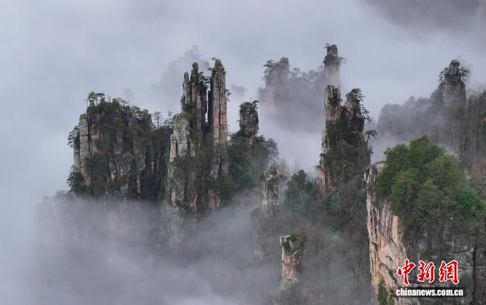 �����żҽ磺����ƺ� ˮī����