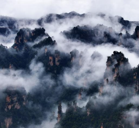 �żҽ�ʮ�ﻭ��