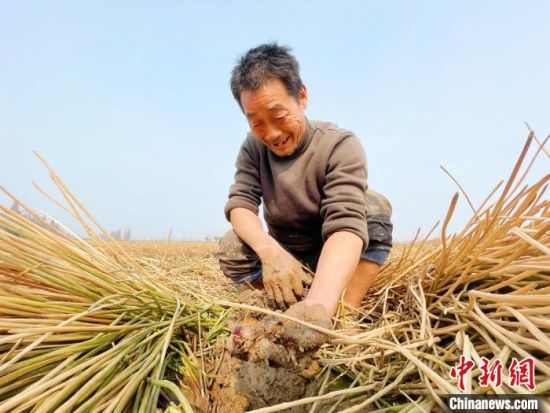 湖南:江湖系统联治激活生态经济