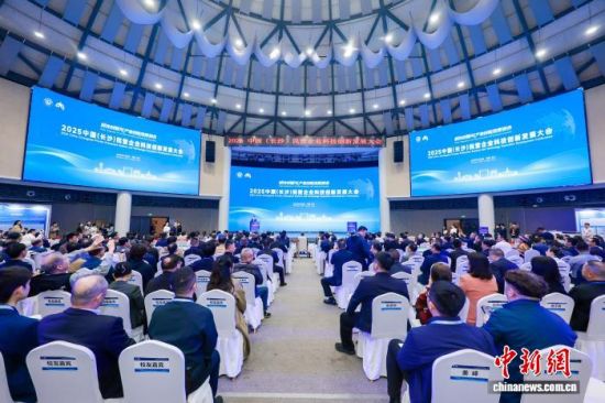 2025й(ɳ)ӪҵƼ·չڳɳĻ