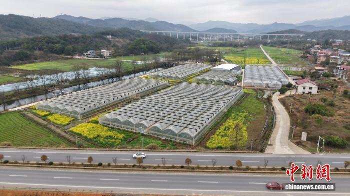 ���϶������ܼ������� ����3.5��Ķ�絾����