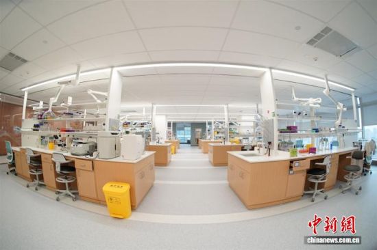 ���³�ӿ���������� ����������������������չ�¶���