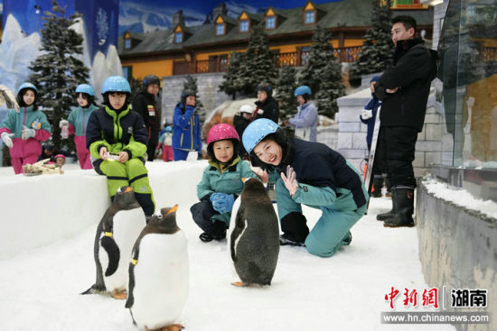 �潭����ѩ���ơ��������ѩ����ɫ����