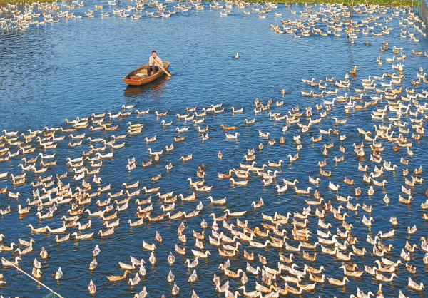 ��Ѽ�����á���