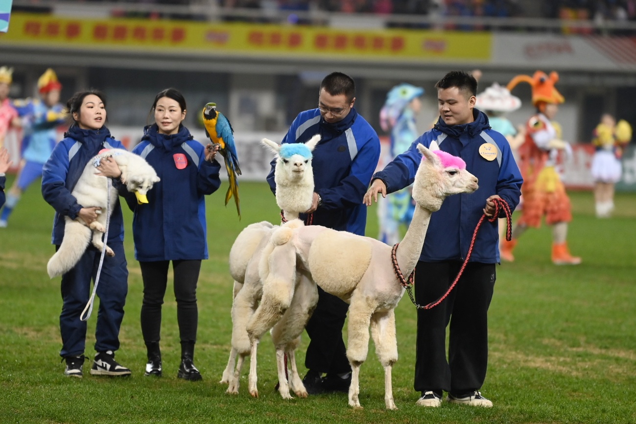 ���Ｏ�ᣡ�潭���ֺ��������泬������