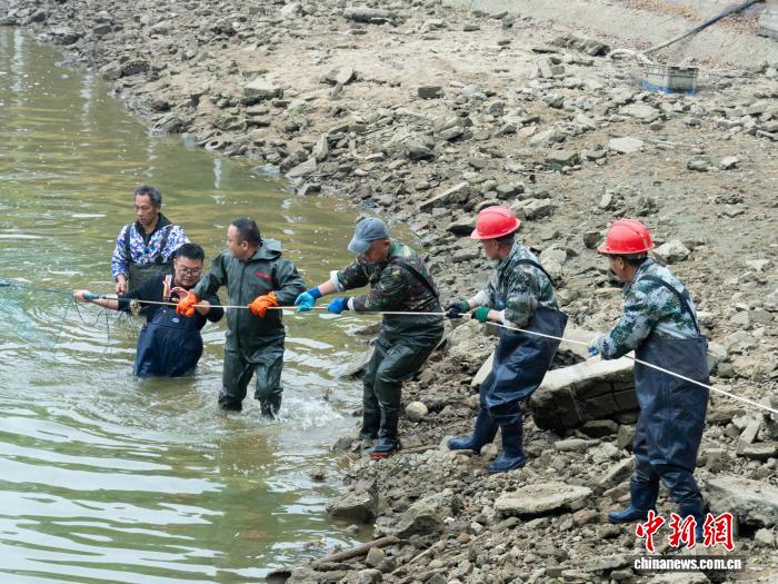 ����һ��У����5000������ ��ȫУʦ����ѳ���ӭԪ��