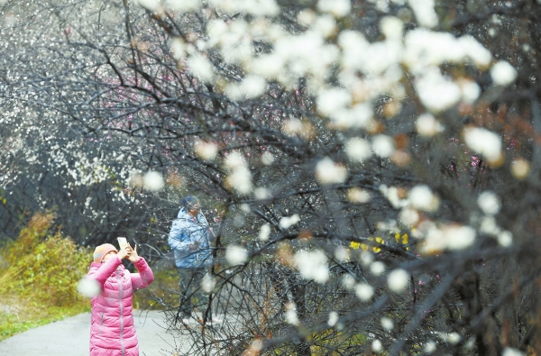 �ǳ���÷ ���㸡��