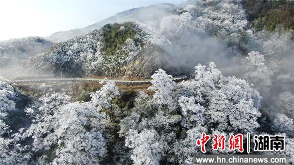 ���ϳǲ�����ɽ֮��ӭ2026���׳���ڡ���