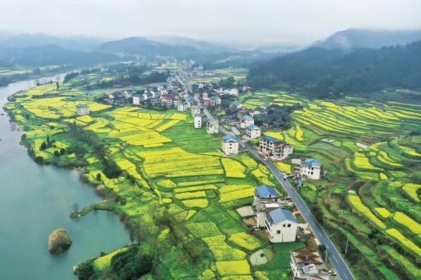 �Ͳ˻�������Ũ